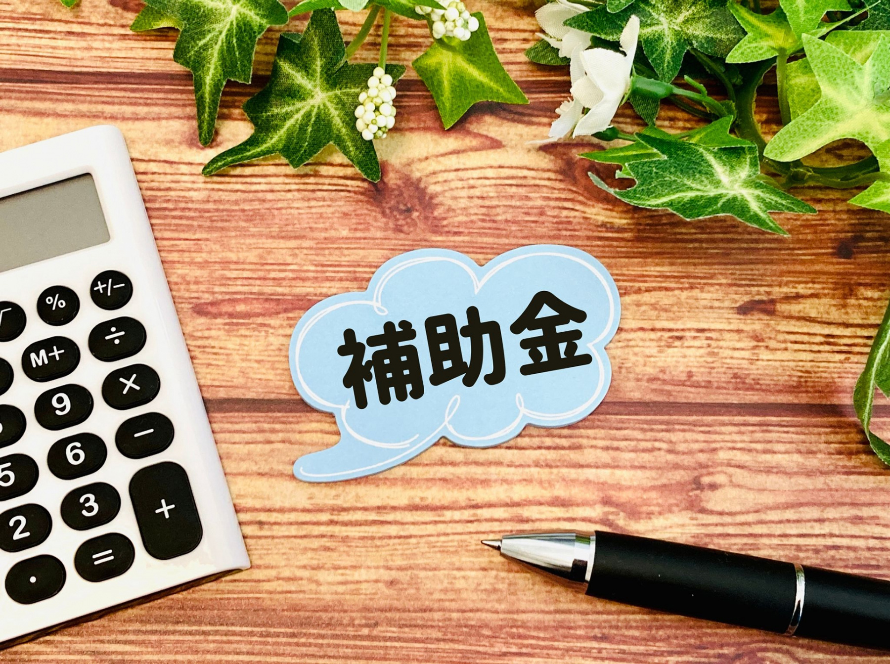 補助金イメージ画像